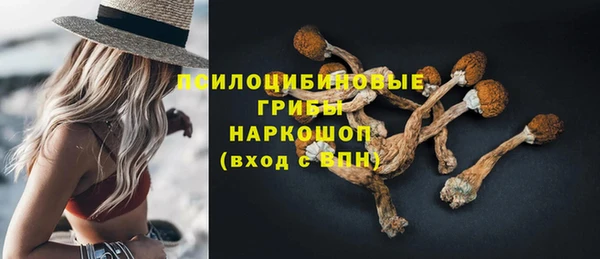 скорость Алзамай