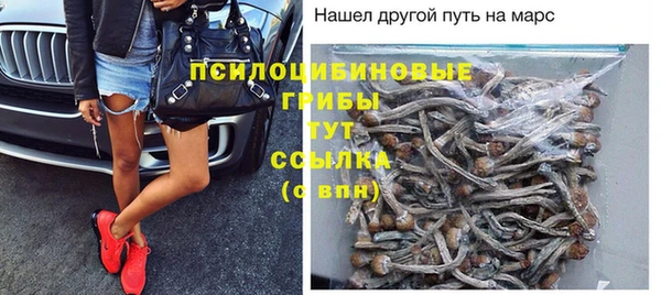 скорость Алзамай